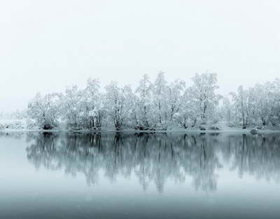 5 мың домбыра – бір әуен: Өскеменде тарихи рекорд тіркелді