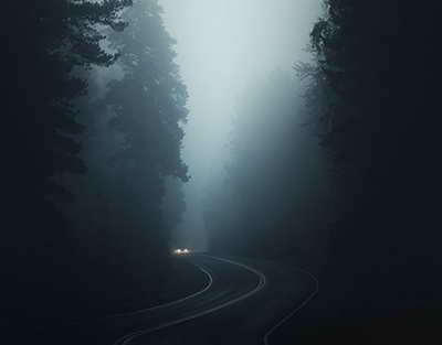 Президенттің «Таза Қазақстан» бастамасын жүзеге асыру: 1,6 млрд ағаш отырғызылды, 1 млн гектардан астам алқапта мелиорациялық орман жұмыстары жүргізілді