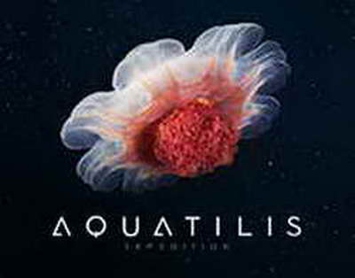 Билік, білім және жаңа элита