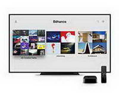 Boks Federasiyası lisenziya turnirindəki idmançıların nəticələrini niyə gizlədir?