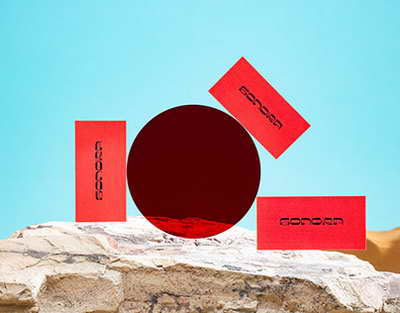 Fransada müsəlmanların toplantısına qoyulan qadağa məhkəmə tərəfindən ləğv edilib